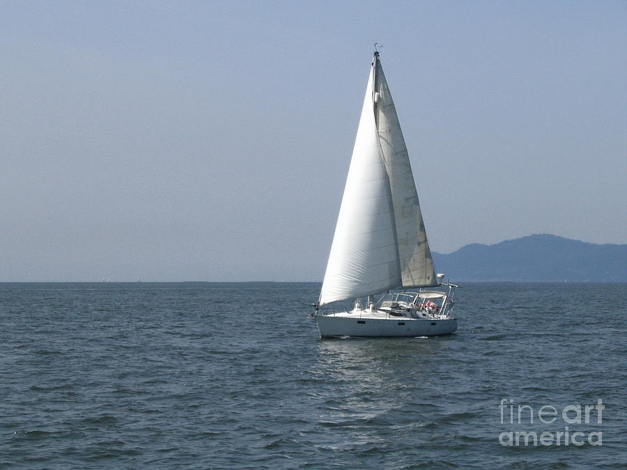Sailing Away Photograph by Vivian Martin