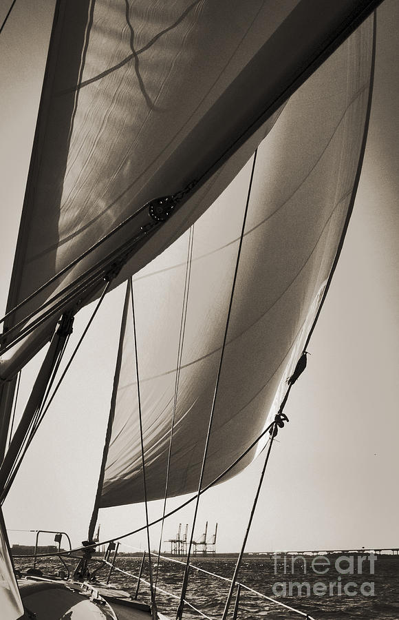 Sailing Beneteau 49 Sloop Photograph by Dustin K Ryan