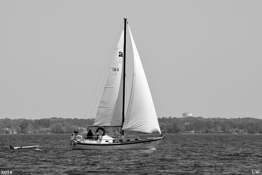 Sailing Black And White Photograph by Lisa Wooten