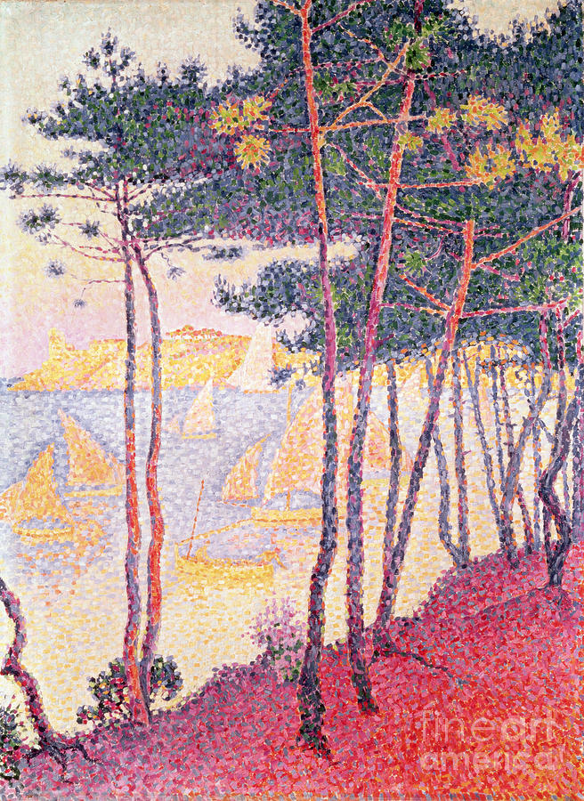 Sailing Boats and Pine Trees Painting by Paul Signac