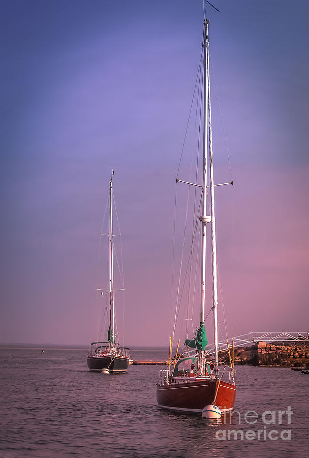 Sailing boats in Gloucester Photograph by Claudia M Photography