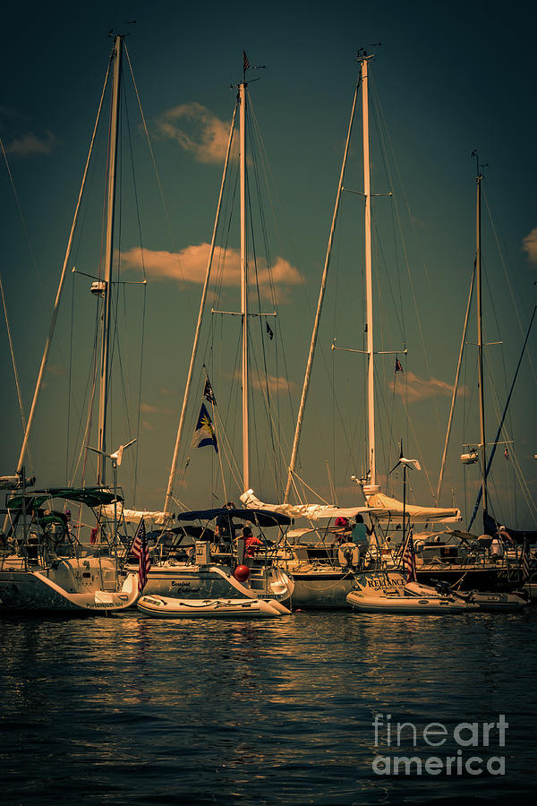 Sailing boats moored Photograph by Claudia M Photography