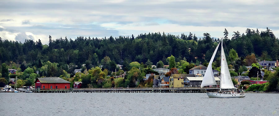 Sailing By Coupeville Photograph by Rick Lawler