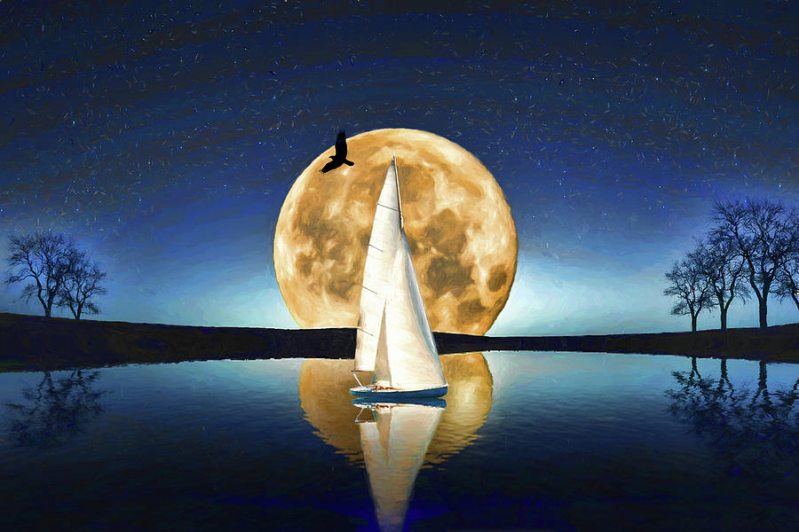 Sailing by Moonlight Photograph by John Haldane