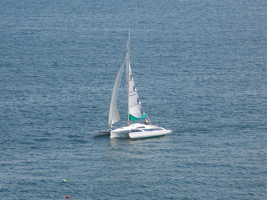 Sailing Photograph by Catherine Gagne