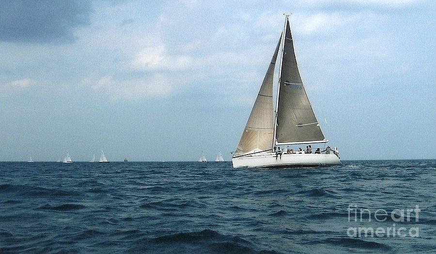 Sailing Photograph by Charles Robinson
