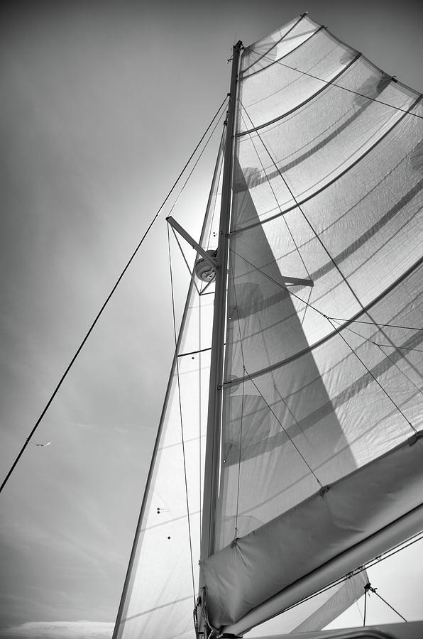 Sailing Photograph by David Hart
