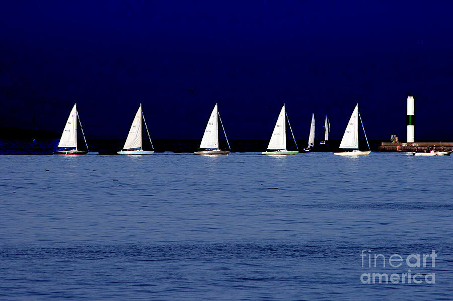 Lake Michigan Photograph - Sailing by Debbie Nobile