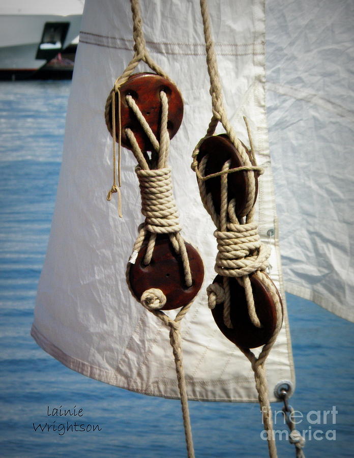Sailing Dories 2 Photograph by Lainie Wrightson