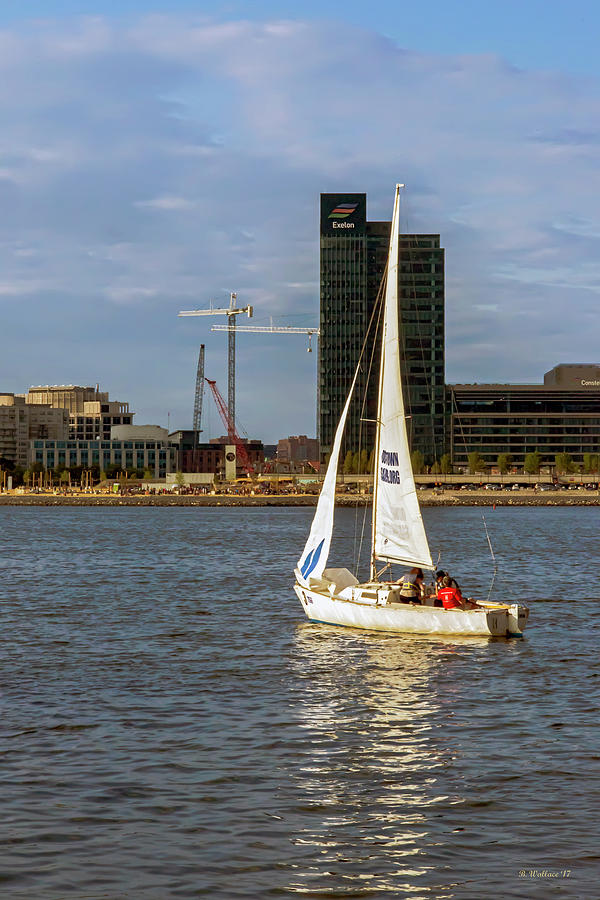 Sailing Downtown Photograph by Brian Wallace