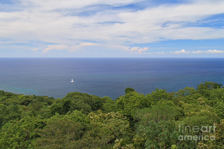 Sailing Free by Charles Kozierok Sailing Free by Charles Kozierok