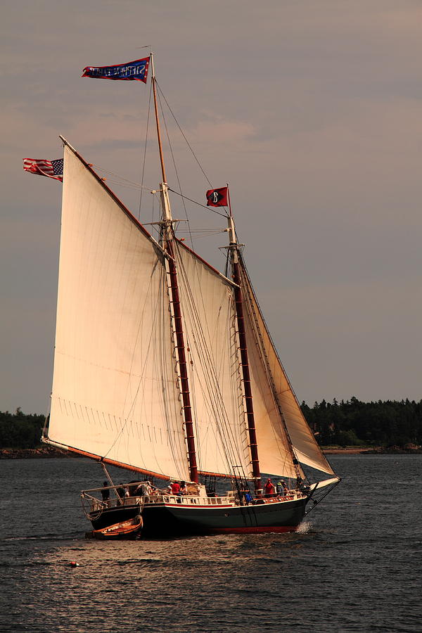 Sailing Home Photograph by Doug Mills