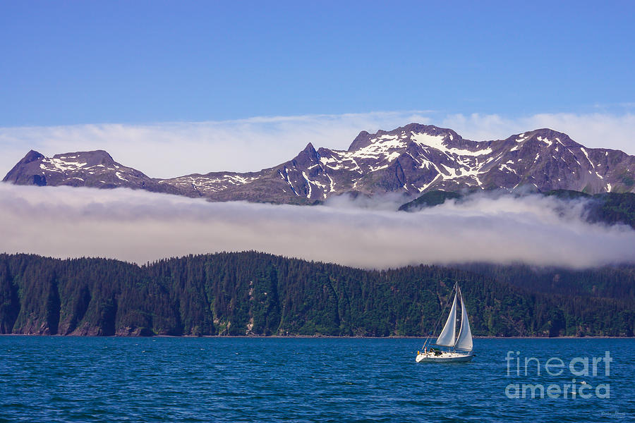 Sailing in Alaska Photograph by Jennifer White