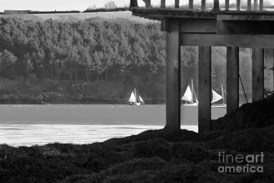Boat Photograph - Sailing in Carrick Roads Black and White by Terri Waters