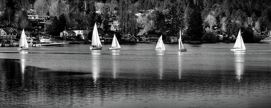 Sailing in Gig Harbor Photograph by David Patterson