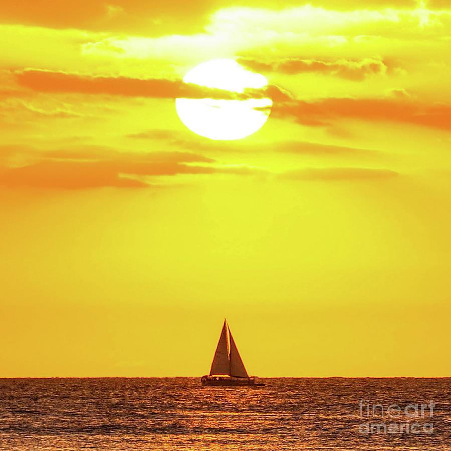 Sailing in Hawaiian Sunshine by D Davila Sailing in Hawaiian Sunshine by D Davila