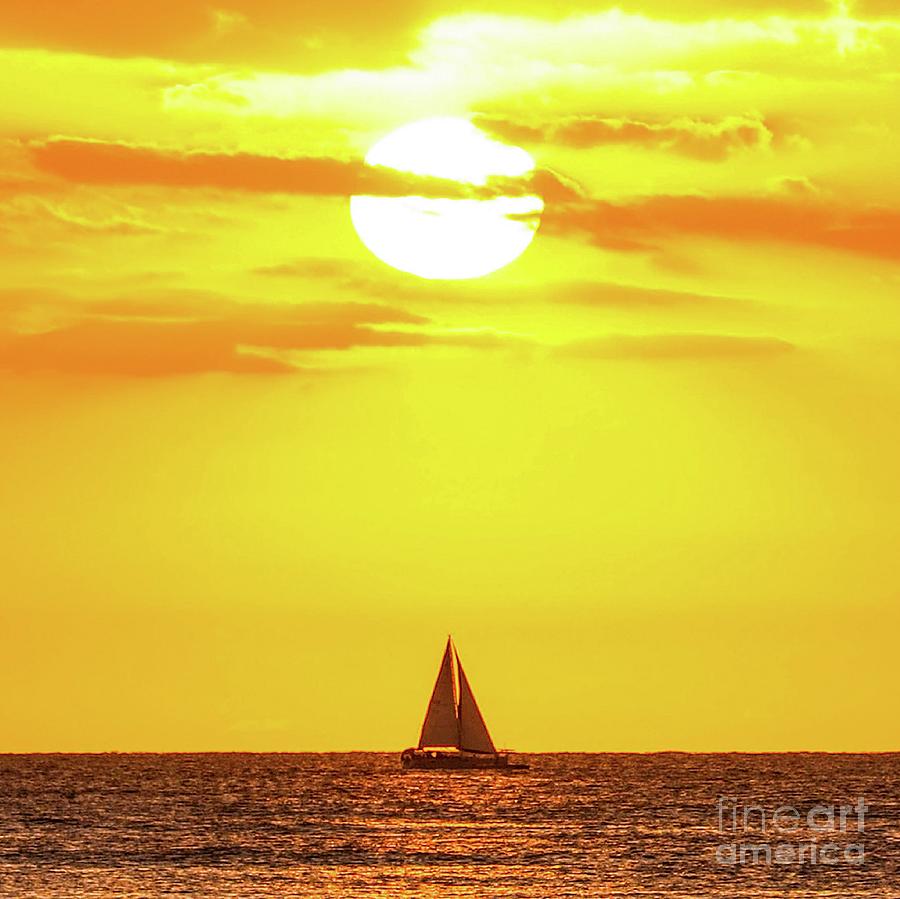 Sailboat Photograph - Sailing in Hawaiian Sunshine by D Davila