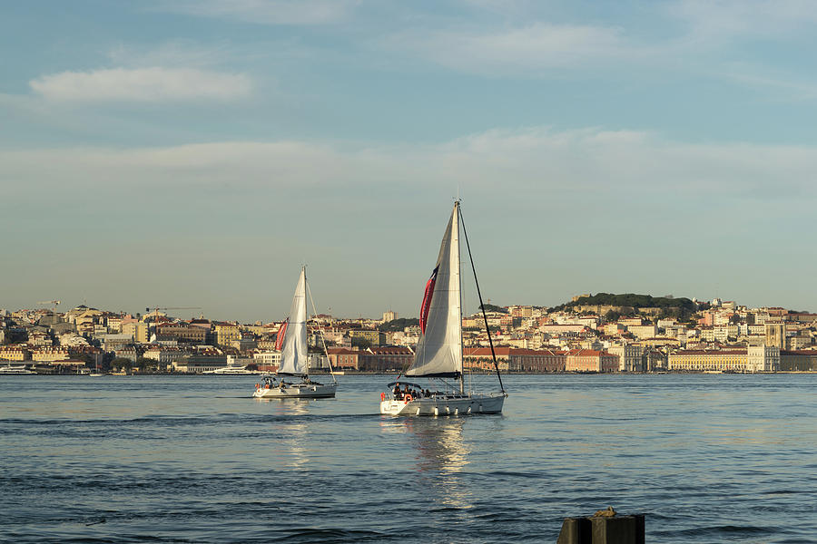 Sports Photograph - Sailing in Lisbon Portugal by Georgia Mizuleva
