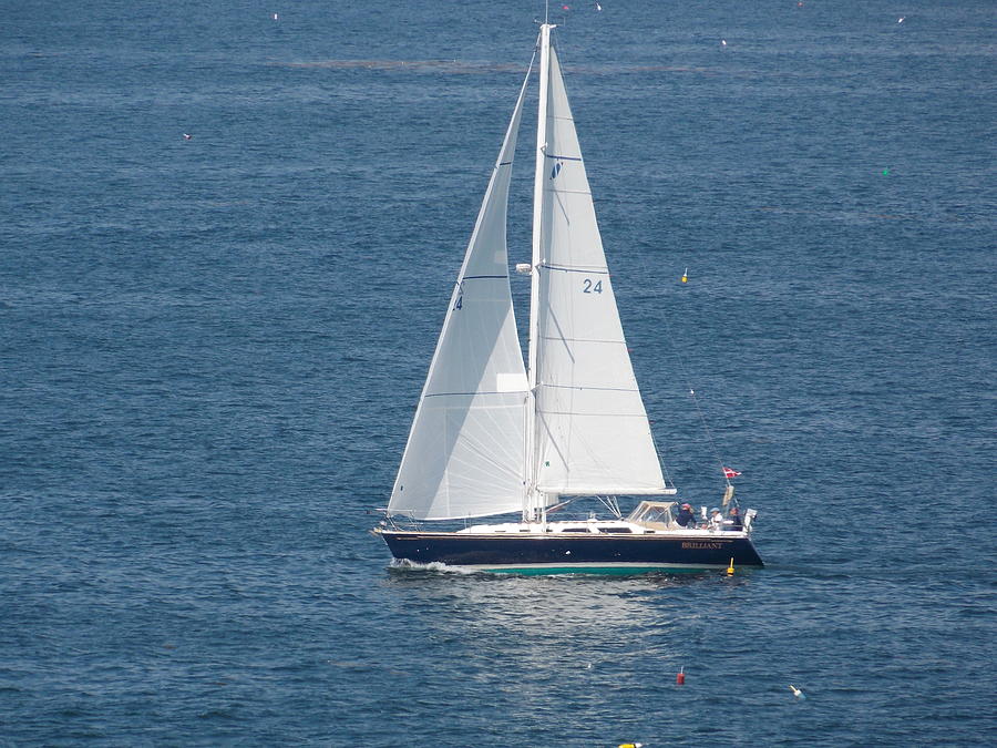 Sailing in Maine Photograph by Catherine Gagne