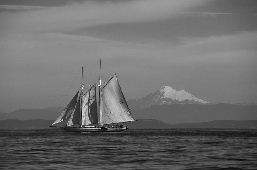 Sailing in Pacific Northwest Photograph by David Shuler