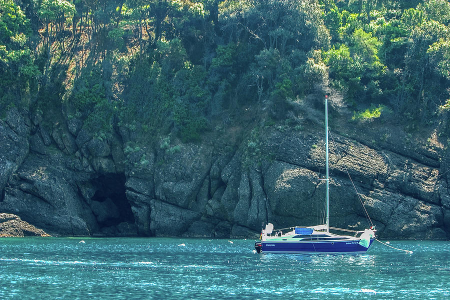 Sailing in Portofino Photograph by Al Hurley