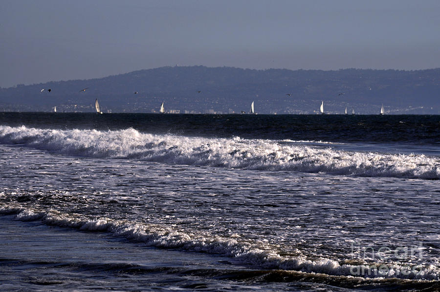 Sailing In Santa Monica Photograph by Clayton Bruster