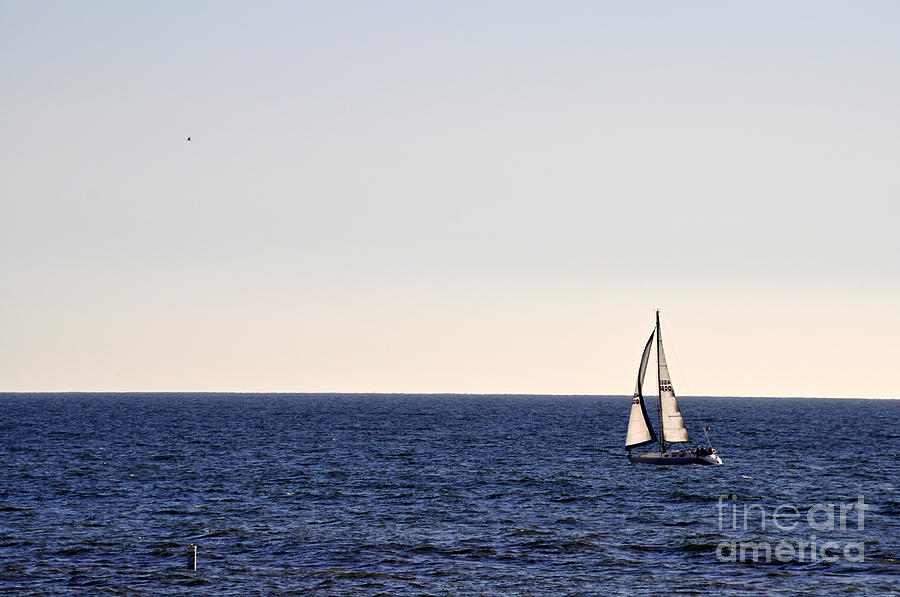 Sailing In Santa Monica II Photograph by Clayton Bruster