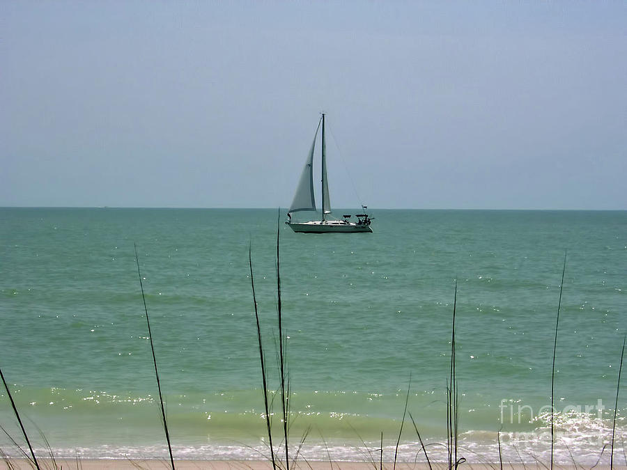 Sailing in the Gulf Photograph by D Hackett