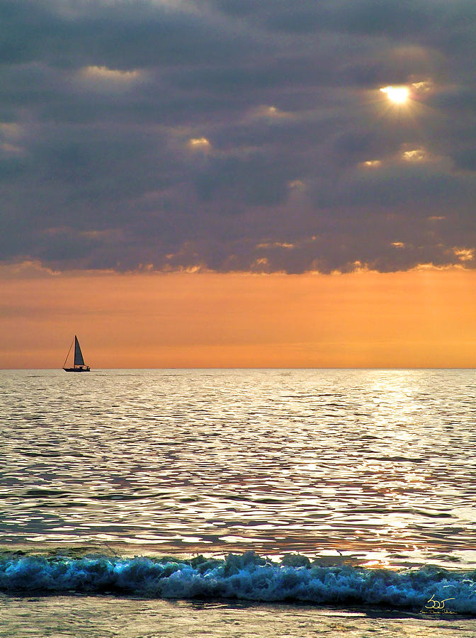 Sailing in the Sun Photograph by Sam Davis Johnson