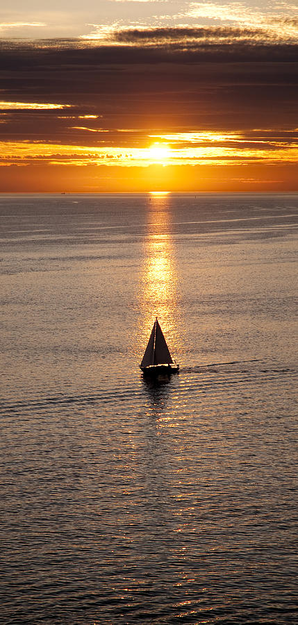 Sailing in the sun Photograph by Terry Dadswell
