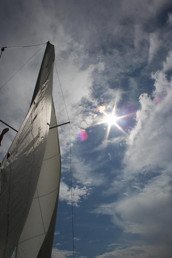 Sailing into the Sun Photograph by Julie Lueders 