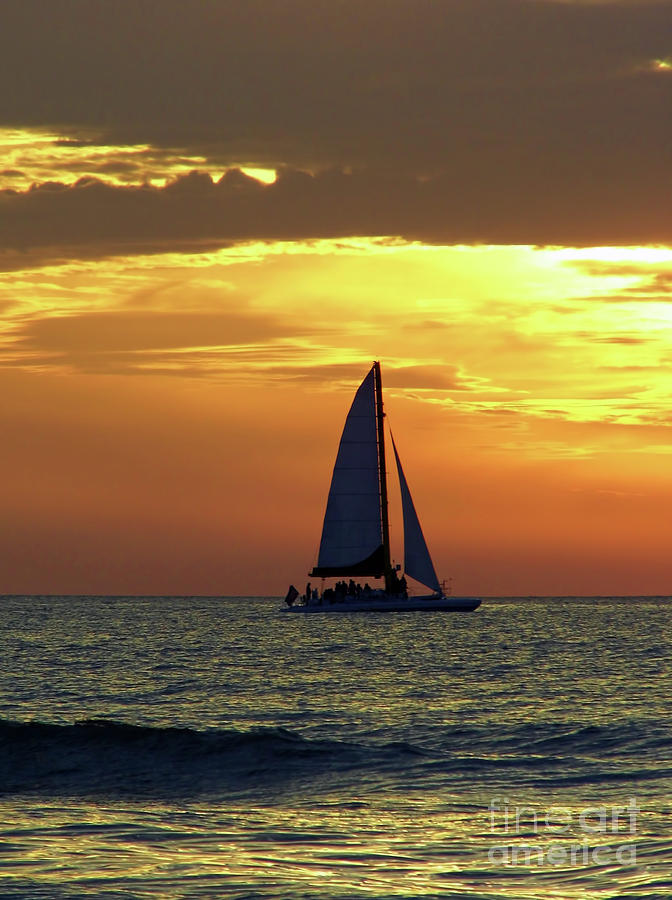 Sailing Into The Sunset Photograph by D Hackett