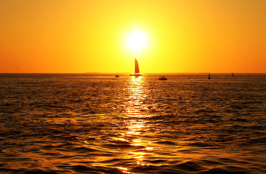 Sailing Into The Sunset Photograph by Susan Vineyard