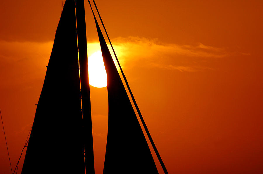 Sailing into the sunset Photograph by Susanne Van Hulst