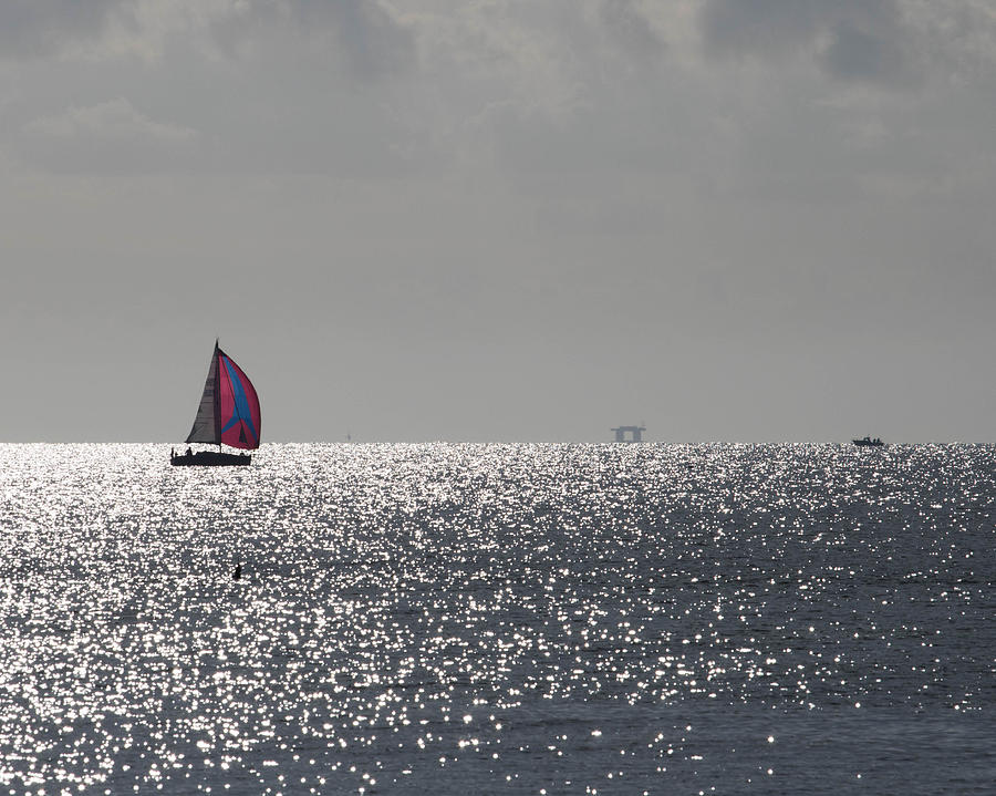 Sailing Photograph by Leah Palmer