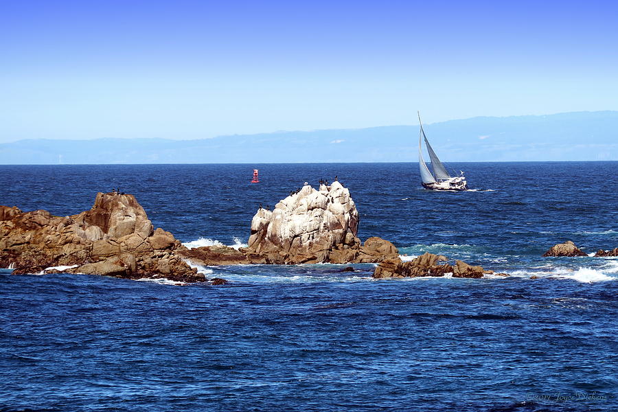 Sailing Monterey Bay Photograph by Joyce Dickens