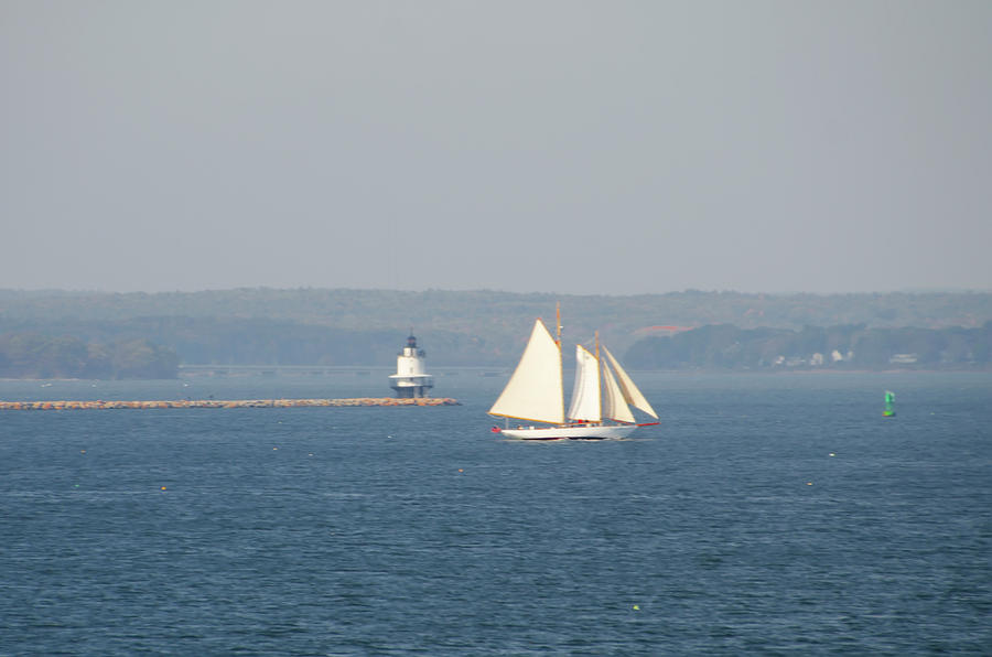 Sailing off Bug Light - Cape Elizabeth Maine Photograph by Bill Cannon