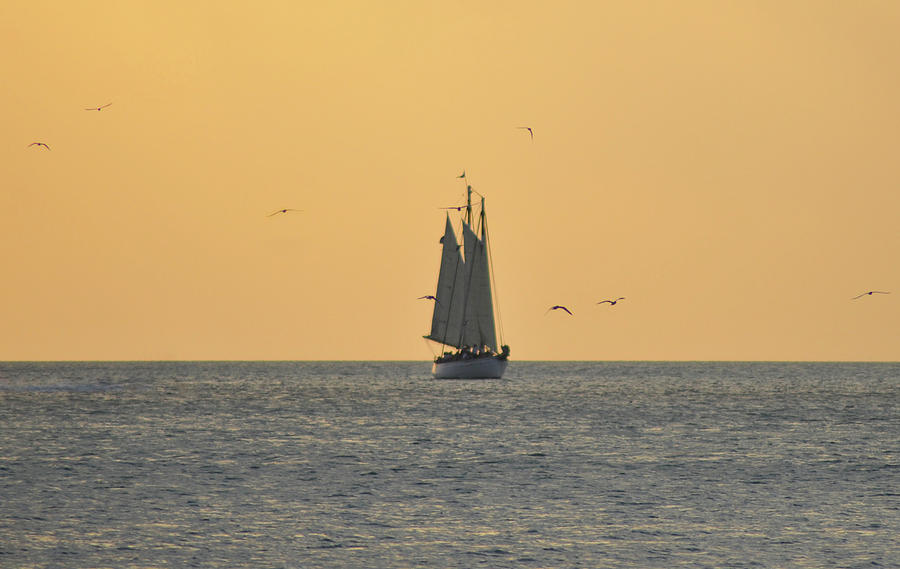 Sailing Off of Key West Photograph by Bill Cannon