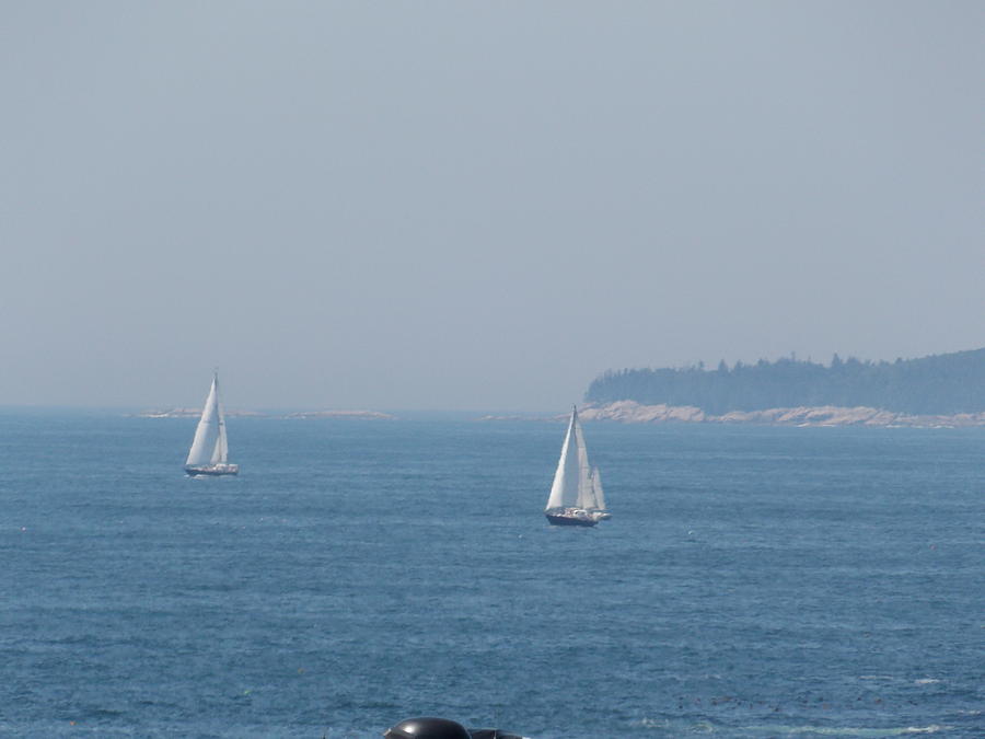 Sailing on a Hazy Day Photograph by Catherine Gagne