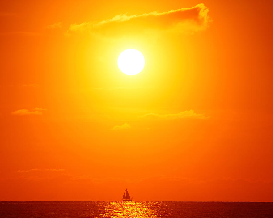 Sailing on a Sea of Orange Photograph by Lawrence S Richardson Jr