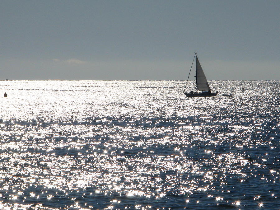 Sailing On A Silver Sea Photograph by Bill Tomsa