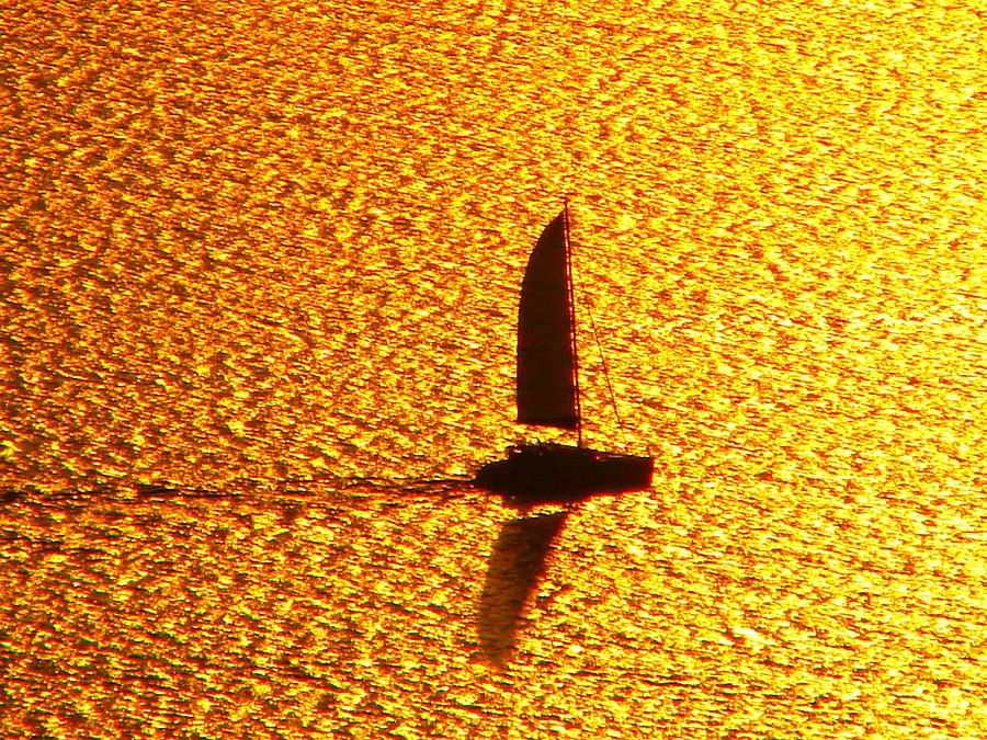 Sailing On Gold Photograph by Ana Maria Edulescu