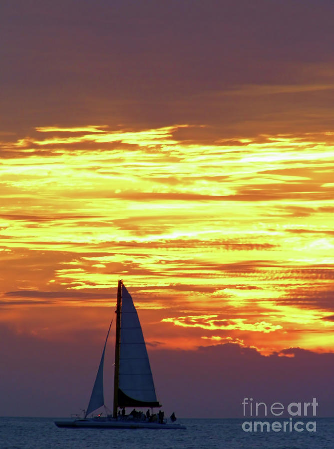 Sailing Past The Sunset Photograph by D Hackett