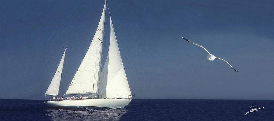 Sailing Photograph by Phil Jensen