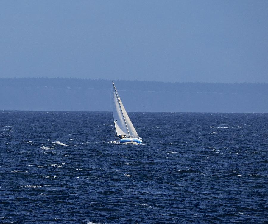 Sailing Photograph by Randy Morgan