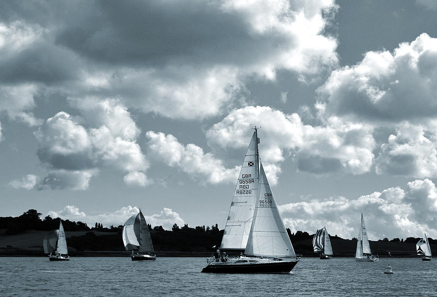 Sailing  Regatta Photograph by Terence Davis