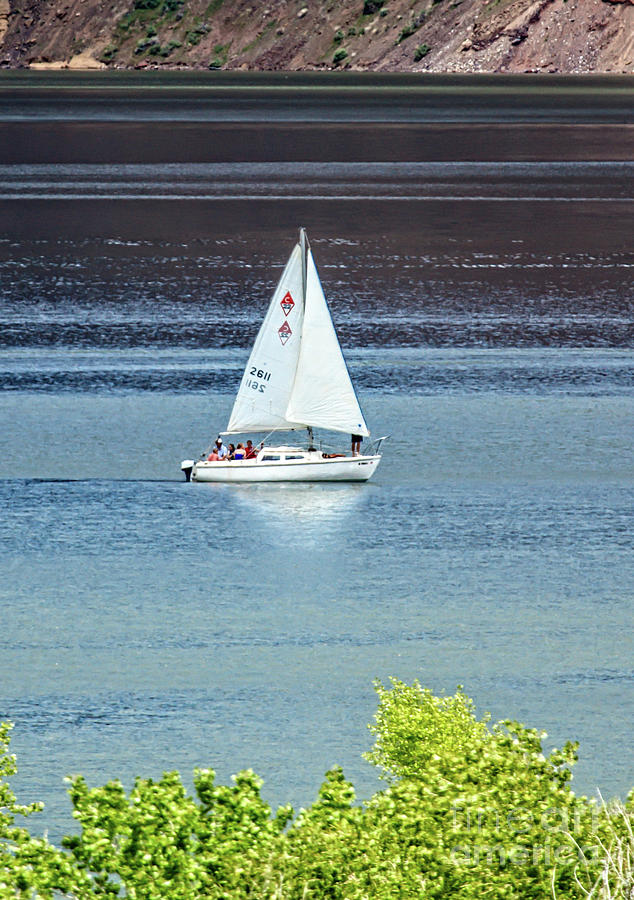 Boat Photograph - Sailing by Robert Bales