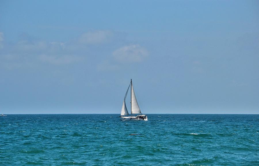 Sailing Solo Photograph by Eileen Brymer