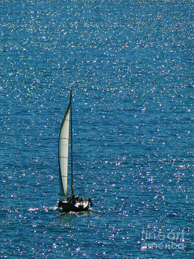 Sailing Solo Photograph by Sue Melvin