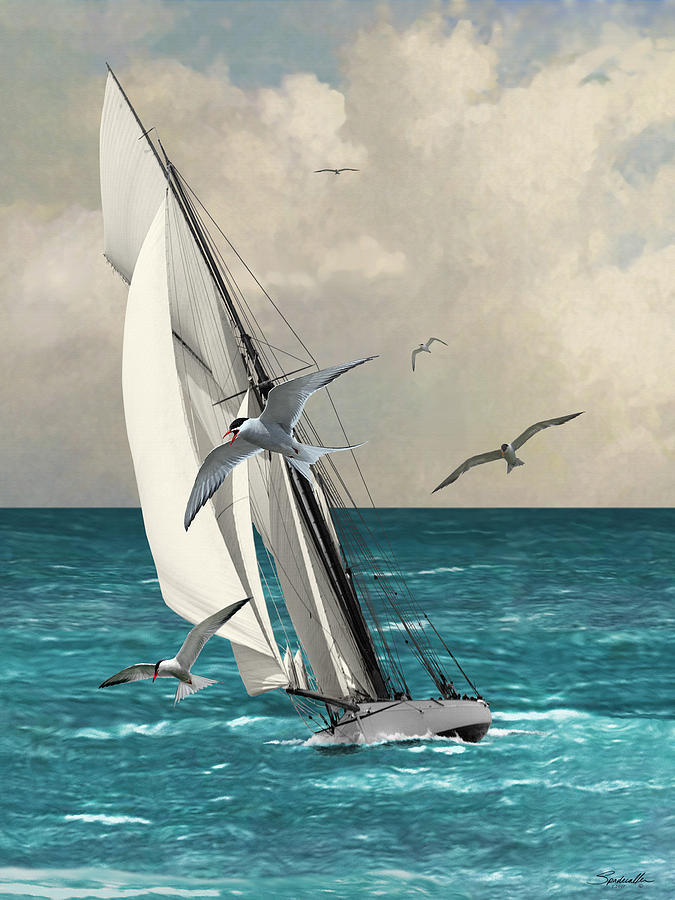 Sailing Southern Seas Digital Art by M Spadecaller